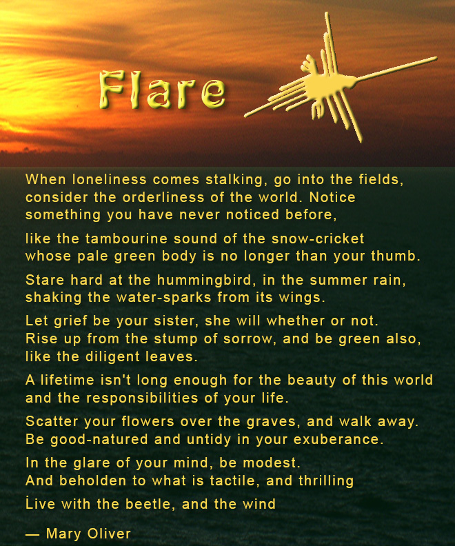 Name:  flare-poem.jpg
Views: 848
Size:  294.8 KB