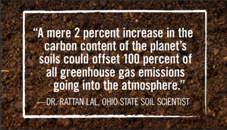 Name:  A mere 2 percent increase in the carbon content - Prof. Rattan Lal (small).jpg
Views: 3857
Size:  73.3 KB