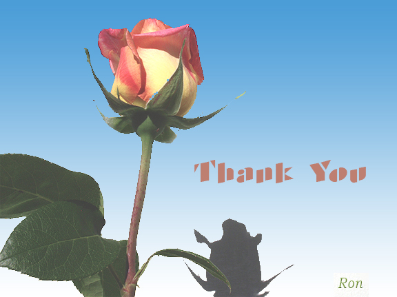 Name:  Rose-Thank-You.jpg
Views: 3676
Size:  122.8 KB